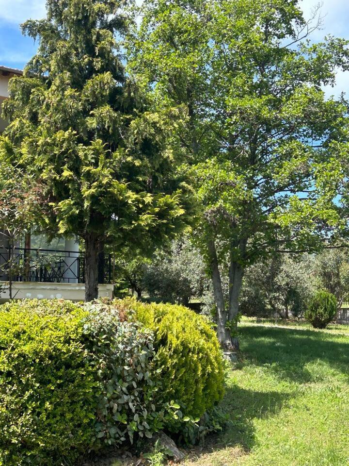 Zeusplace Karia Villa Natura Leptokaryá Eksteriør billede